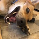 Profile Picture of Matthew Ehrhardt (@whats.a.m8jew) on Instagram