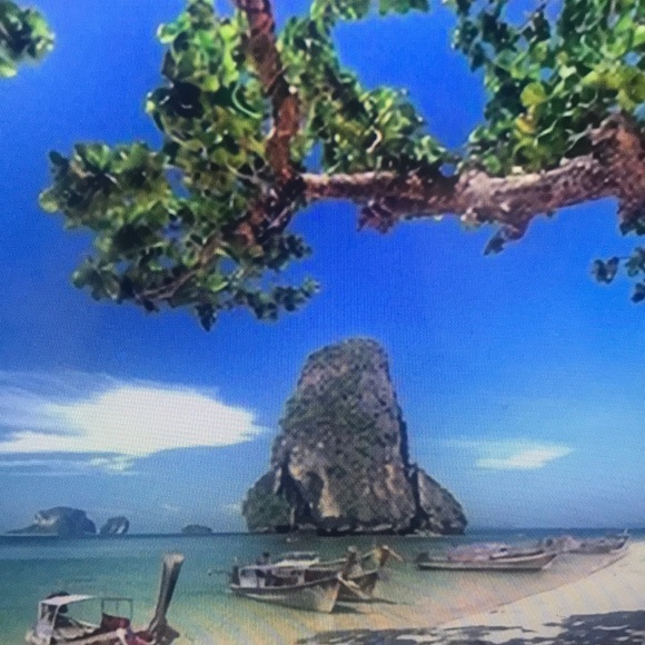 Profile Picture of Ari Ramos (@ariramos259) on Poshmark