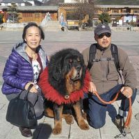 Profile Picture of Jay Mok (@jay-mok-9) on Quora