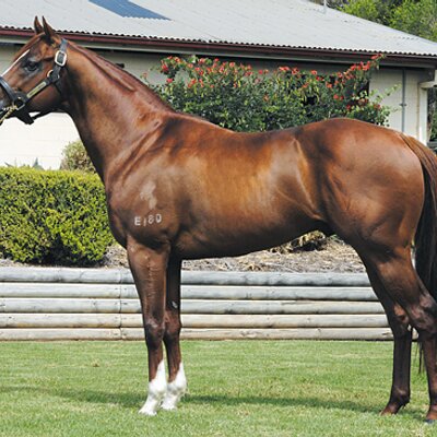 Profile Picture of Kim Loy (@KimLoy3) on Twitter