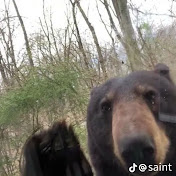 Profile Picture of Christopher Mac Nulty (@christophermacnulty941) on Youtube