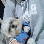 Profile Picture of Mariela Kener (@marielakener) on Instagram