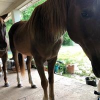 Profile Picture of Susie Allanson (@susie-allanson) on Quora