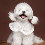 Profile Picture of 순심이네에오🇰🇷 (@sun_sim_) on Instagram