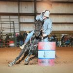 Profile Picture of Joseph Sistare (@joseph_sistare) on Instagram