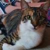 Profile Picture of Alice Jankowski (@@alicejankowski4) on Tiktok