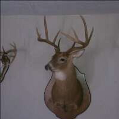 Profile Picture of Stephen Rackley (@steprack) on Twitter