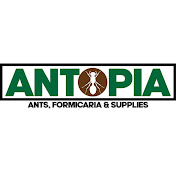 Profile Picture of Antopia Uk (@antopiauk1493) on Youtube
