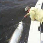 Profile Picture of Steve Roff (@barrierislandguide) on Instagram