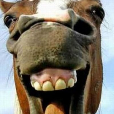 Profile Picture of Bradley Hardwick (@bster7) on Twitter