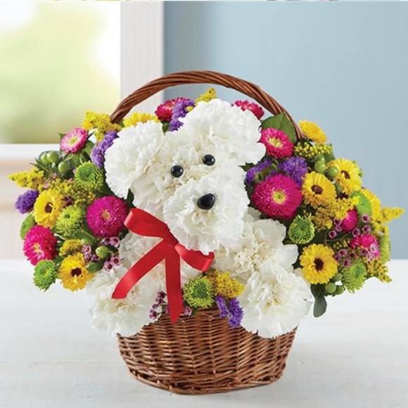 Profile Picture of Olga Konstanta (@lg100044) on Poshmark