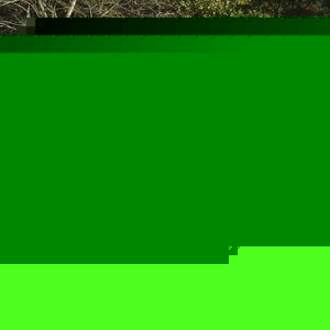 Profile Picture of James Mewhinney (@117810797) on Myspace