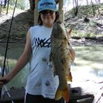 Profile Picture of Alex Faint (@faintalex) on Instagram