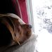 Profile Picture of Pamela Harwell (@pamela.harwell.3) on Facebook
