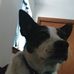Profile Picture of Joseph Keener (@joseph.keener.3745) on Facebook