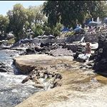 Profile Picture of Qigong Reiki Meditation Bodrum (@divya_siebert) on Instagram