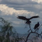 Profile Picture of Richard Ekwall (@richard.ekwall.37) on Facebook