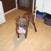 Profile Picture of Traci Fladager (@tracifladager) on Pinterest