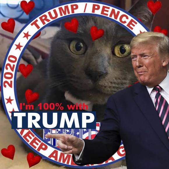 Desiree Huffsmith - Poshmark Profile Picture of Desiree Huffsmith (@dezhuff) on Poshmark