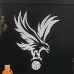 Profile Picture of Schürmann Peter (@eagles_peter) on Instagram