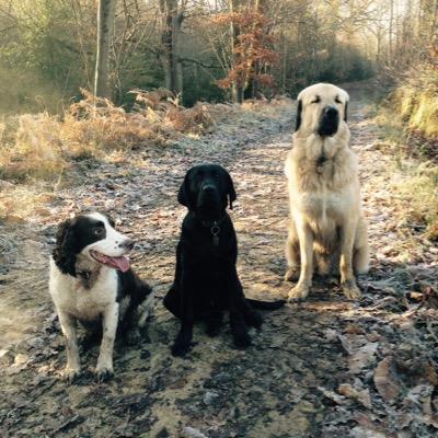 Profile Picture of James Ashwell (@_jimbo_8) on Twitter