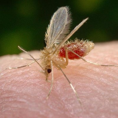 Profile Picture of Erk Russell (@ErksDick) on Twitter