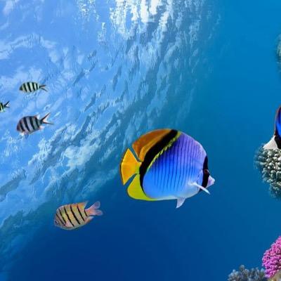 Profile Picture of Ray Halpin (@buzlightr) on Twitter