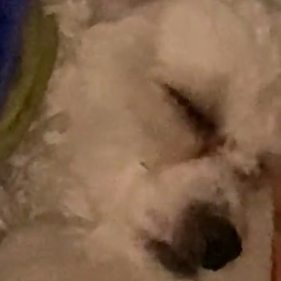 Profile Picture of George Lopez (@glopez423) on Poshmark