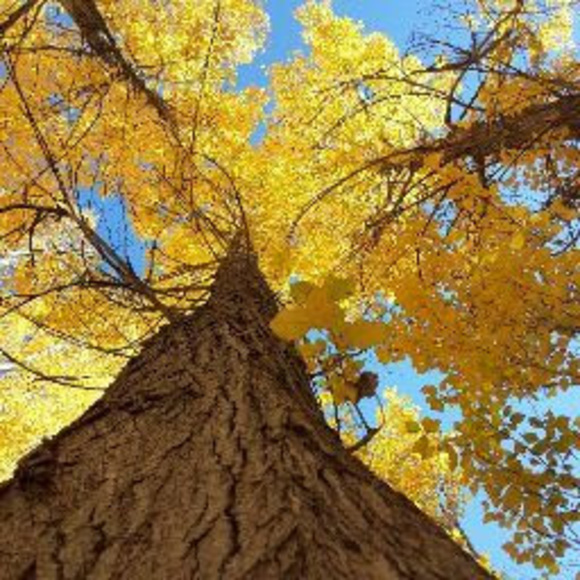 Profile Picture of Benjamin Duran (@duranben12) on Poshmark