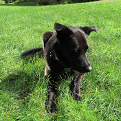 Profile Picture of David Rohr (@davidrohr6316) on Youtube