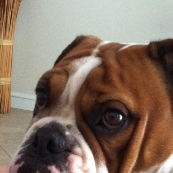 Profile Picture of Lori Chafel (@lori06) on Poshmark