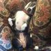 Profile Picture of Craig Belk (@jcbelk) on Pinterest
