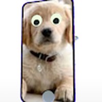 Profile Picture of Lillie Schaffer (@lillie-schaffer-2) on Quora