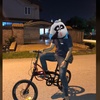 Profile Picture of Danielmalek (@@danielmalek00) on Tiktok