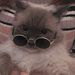 Profile Picture of David Teodora-Andrada (@davidteodoraandrada) on Pinterest