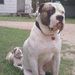Profile Picture of Jeff Schoenfelder (@schoenyz) on Pinterest