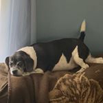 Profile Picture of Joseph randolph (@jose_randolph) on Instagram