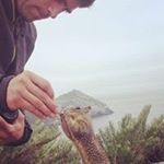 Nick DiGiando - Instagram Profile Picture of Nick DiGiando (@nd782000) on Instagram