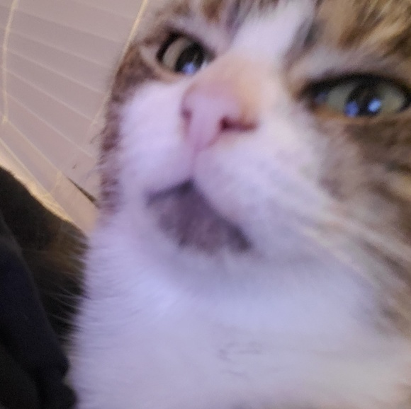 Kirsi Larowe - Poshmark Profile Picture of Kirsi Larowe (@lady_culpepper) on Poshmark