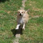 Profile Picture of Denny Steele (@denny.steele.007) on Facebook