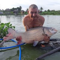 Profile Picture of Barry Dodds (@barry-dodds-1) on Quora