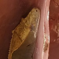 Profile Picture of Edward Reyna (@edward-reyna-6) on Quora