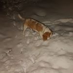 Profile Picture of 16👌🍻🍺 (@julian.neumaier5) on Instagram