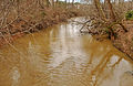 Profile Picture of Crabtree Creek (Neuse River tributary)on Wikipedia