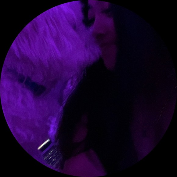 Profile Picture of Athena Alexander (@athena47189) on Poshmark