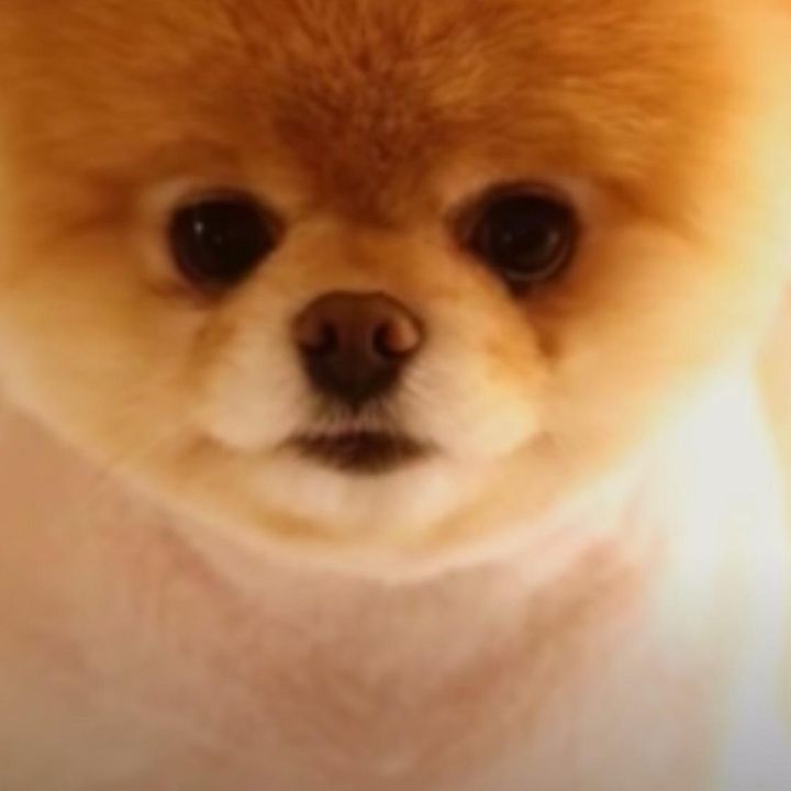 Profile Picture of Lonnie Kelley Jr. (@lonniekelleyjr) on Tiktok