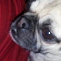 Profile Picture of Zoe Chugg (@zoe-chugg) on Quora