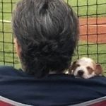 Profile Picture of Lorrie Clifton (@lorrieclifton3) on Instagram