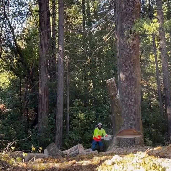 Profile Picture of David Parra.    103 (@davidparra103) on Tiktok