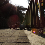 Profile Picture of jun zhen Lin (@Cold-Silence) on Flickr